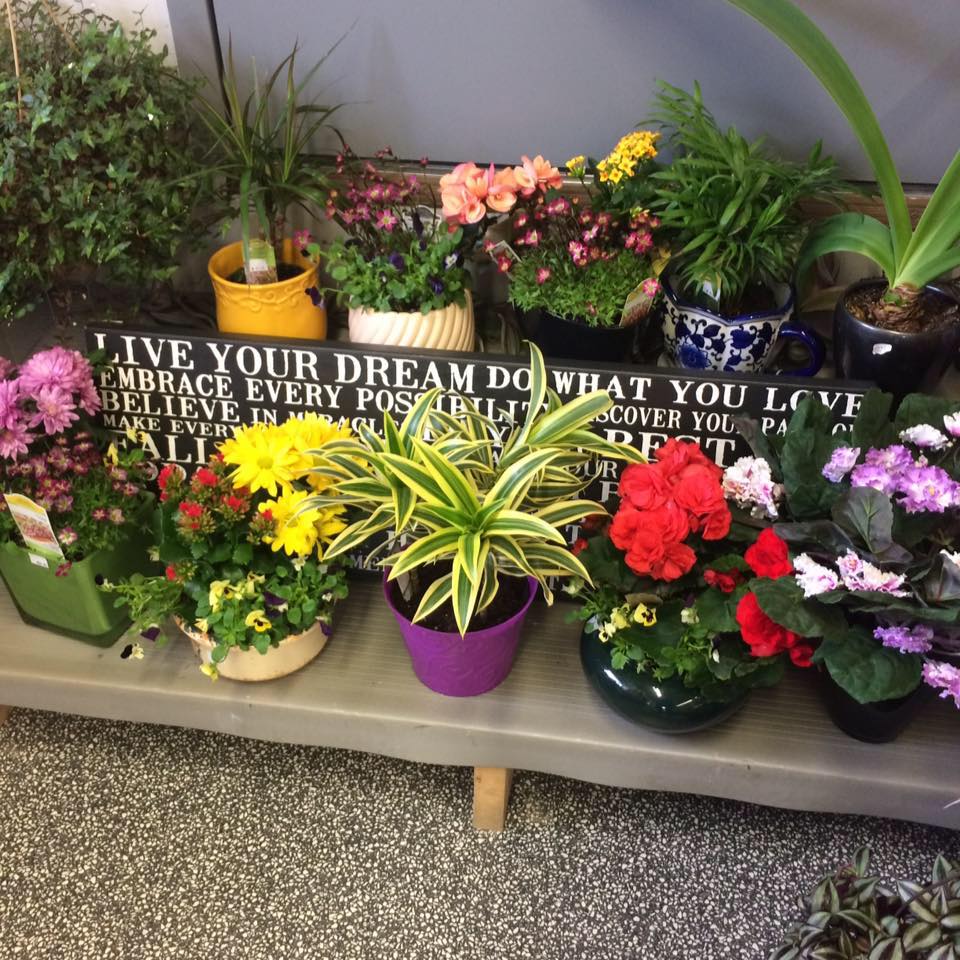 Flowers etc. TheChaiWallahs